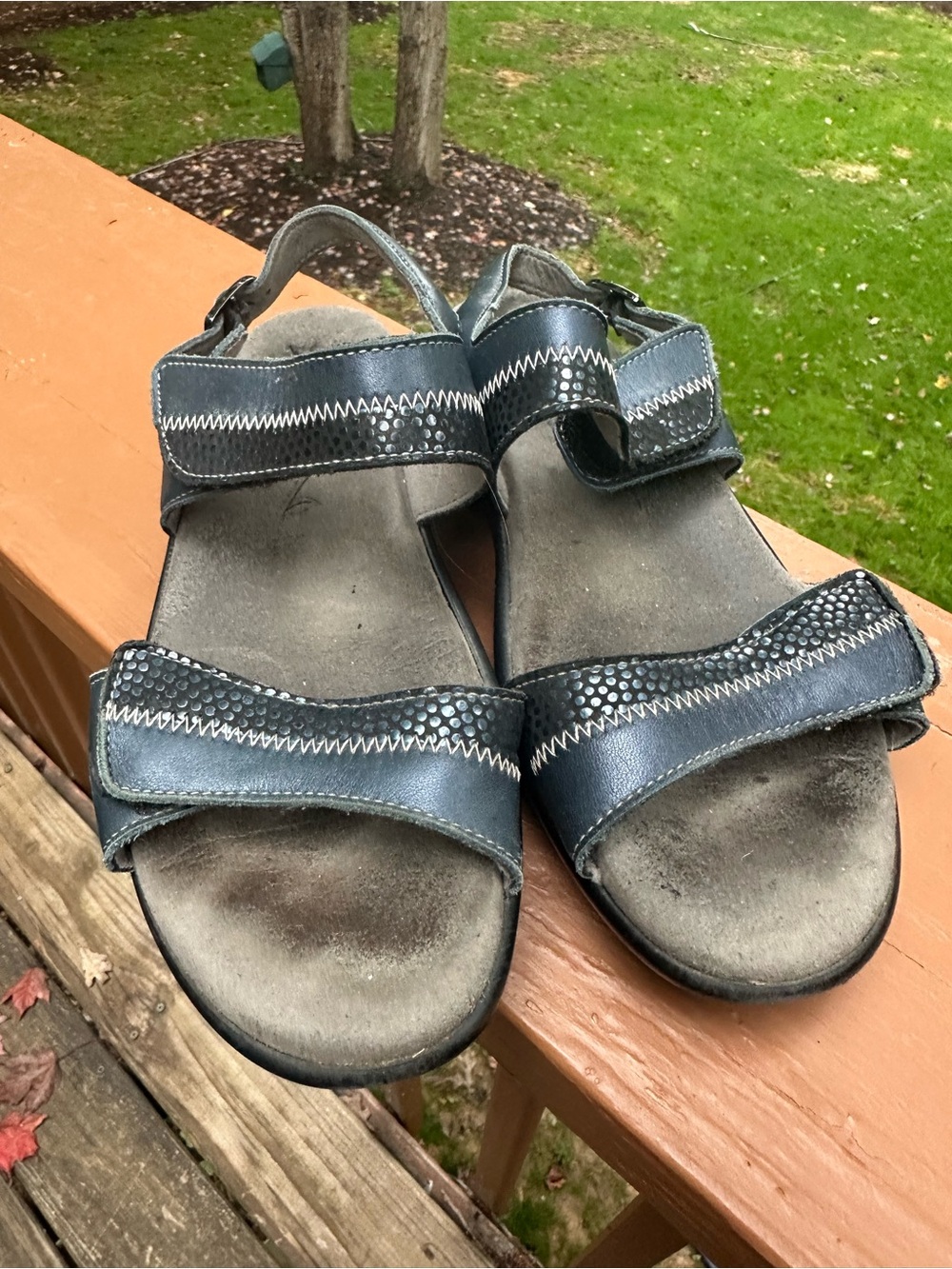 SAS blue black sandals